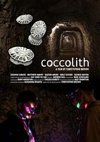 coccolith