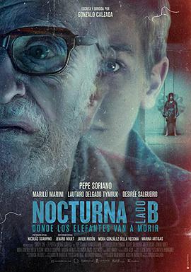 Nocturna: Side B - Where the elephants go to die