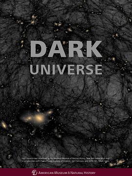 暗黑宇宙