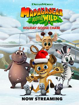 Madagascar: A Little Wild – Holiday Goose Chase