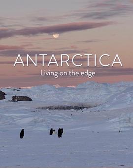 南极：生存在边缘