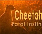 Cheetah Fatal Instinct
