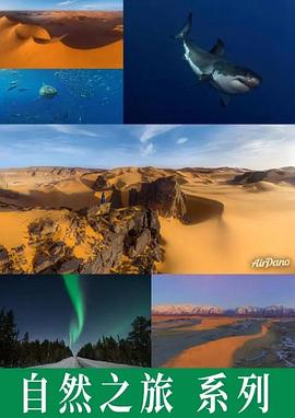 自然之旅系列：极光魅影/沙丘日夜/与鲨同舞/环游世界