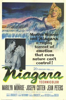 剧情惊悚黑色电影电影《飞瀑怒潮(1953)/ Niagara/尼加拉瀑布之恋》-电影资源1080P/720P/360P高清标清网盘BT迅雷下载