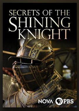 Secrets of the Shining Knight