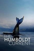 The Humboldt Current Season 1
